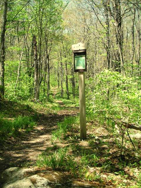 West Loop Trail at Grout